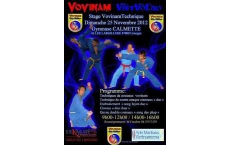 STAGE VOVINAM TECHNIQUE